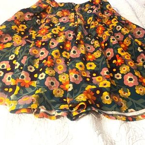Lu La Roe pleated multi color skirt